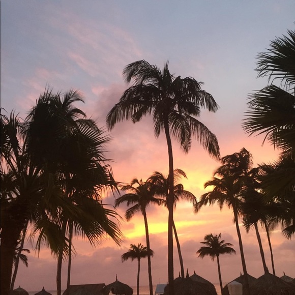 Meet your Posher, Ava - Picture 1 of 1